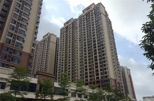 肇庆市侨兴物业携手极致科技,共建多元化智慧物业管理平台