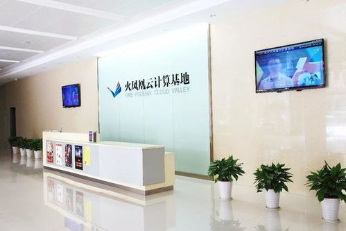 90后创业获百万天使投,年轻是优势,也是劣势
