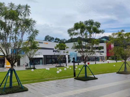 省纺织厂宿舍居住体验全解析 优势、不足、物管与周边中介评价